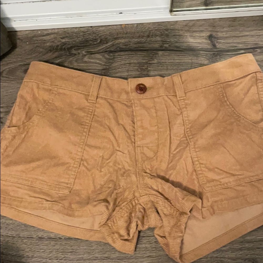 birdwell  britches shorts!